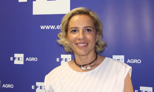 El sector de fruta de hueso de Murcia supera con nota el embargo ruso