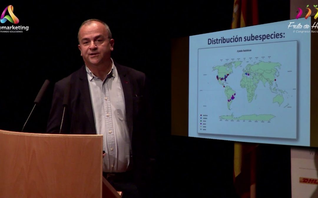 Ponencia de D.Francisco González Zapater sobre la Xylella Fastidiosa