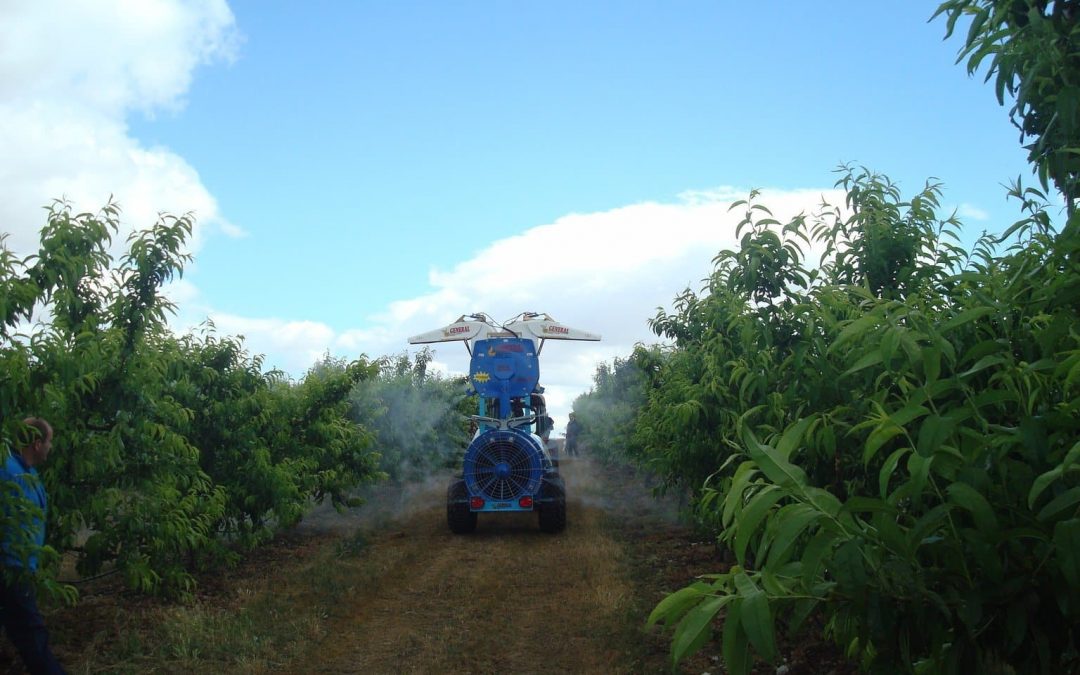 Ampliación del plazo de comercialización de los productos MDF en transitoria