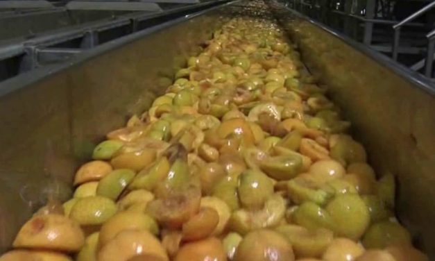 Último cupo de ayudas para transformar fruta de hueso en zumo