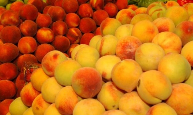 El IPOD confirma que las frutas multiplican por ocho el precio del árbol al supermercado