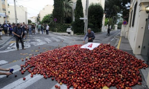 Agricultores franceses protestan por la competencia de la fruta española