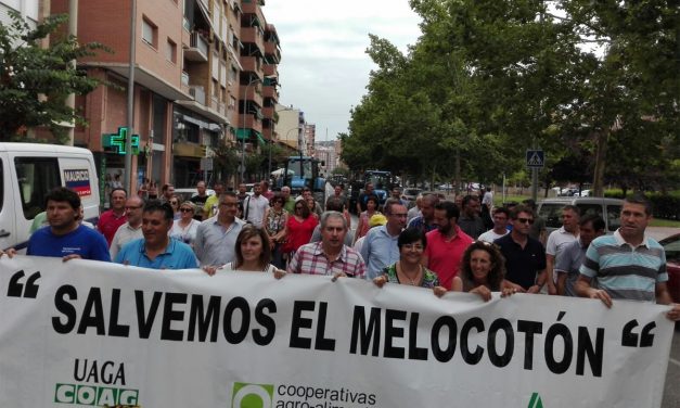 El sector de Fruta de Hueso Español estudia este Otoño las soluciones a su crisis