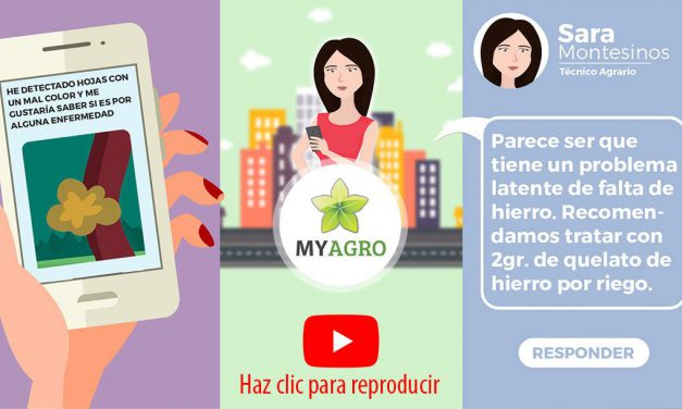 Se presenta el video del Grupo Operativo Sistema Integrado de Asistencia Técnica en Campo