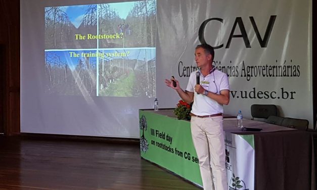 La mecanización en el campo: puerta abierta a la recolección robotizada de frutas