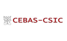 CEBAS-CSIC logo