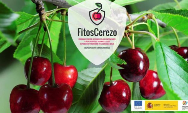 FitosCerezo presenta los resultados obtenidos en el diseño de un programa integrado de control de plagas